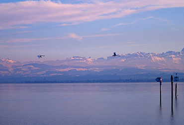 Yoga-Wochenende am Bodensee